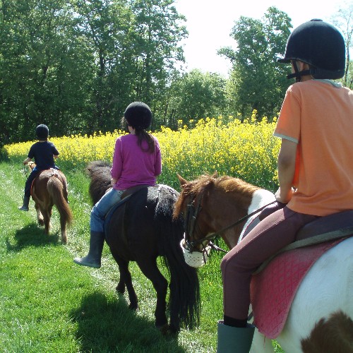 séjours équestres, vacances d'été 2026