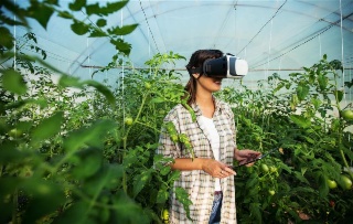 Supporting neurodiverse talent in vocational education with AI
