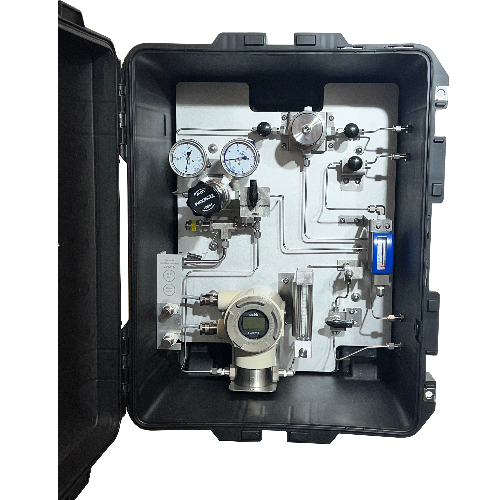 Système de mesure portable par calorimétrie