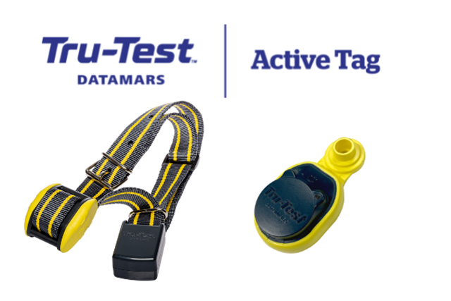 Solutions de monitoring Bovin Active Tag