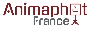 ANIMAPHOT FRANCE