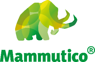 MAMMUTI CO.