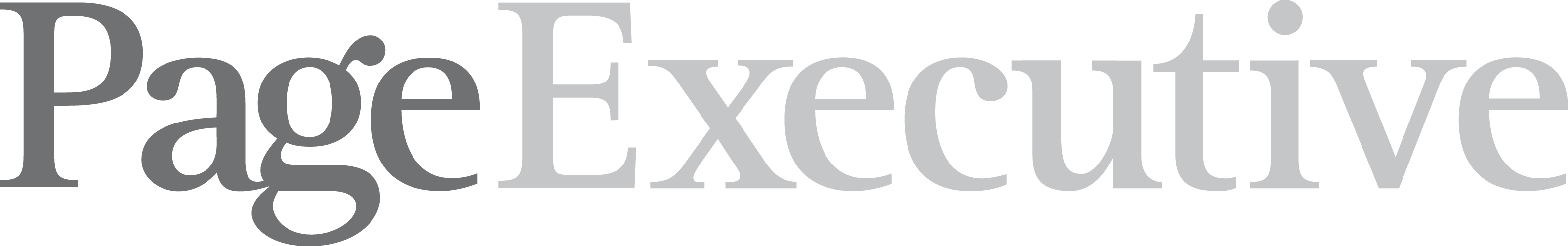 Page Executive