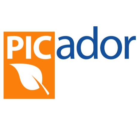 Picador