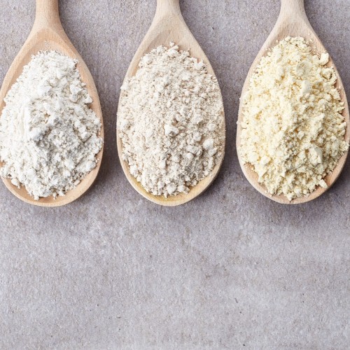 PROTEINES DE LEGUMINEUSES BIO