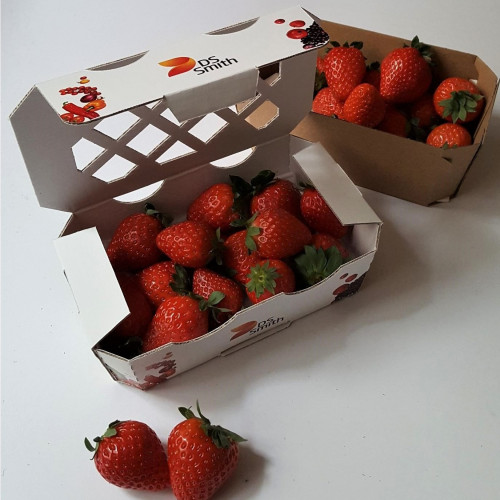Barquettes fruits et légumes