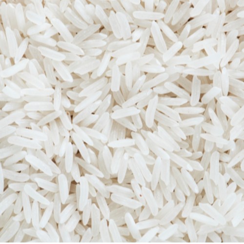 PROTÉINES DE RIZ