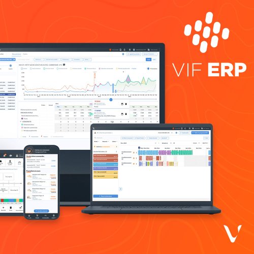 VIF ERP