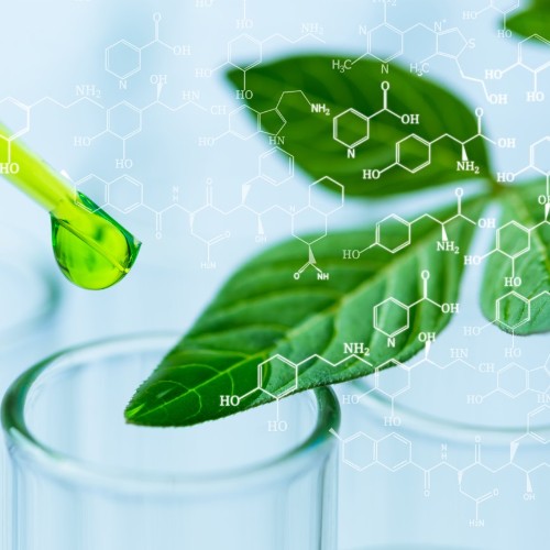 Chimie Alternative