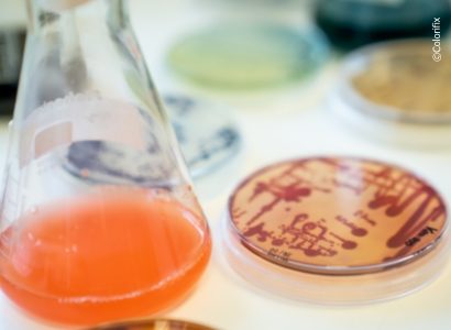Innovations in color chemistry – A detailed perspective on low-impact color in fashion / Part 2