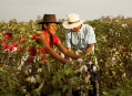 Peru: Between Textile Tradition and Responsible Innovation - Première Vision