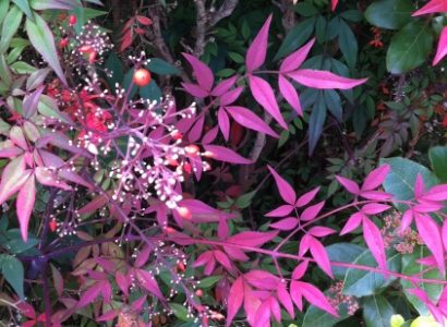 Innovations in color chemistry – A detailed perspective on low-impact color in fashion / Part 1