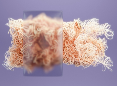Small fibres, big impact: Navigating fibre fragmentation in textiles