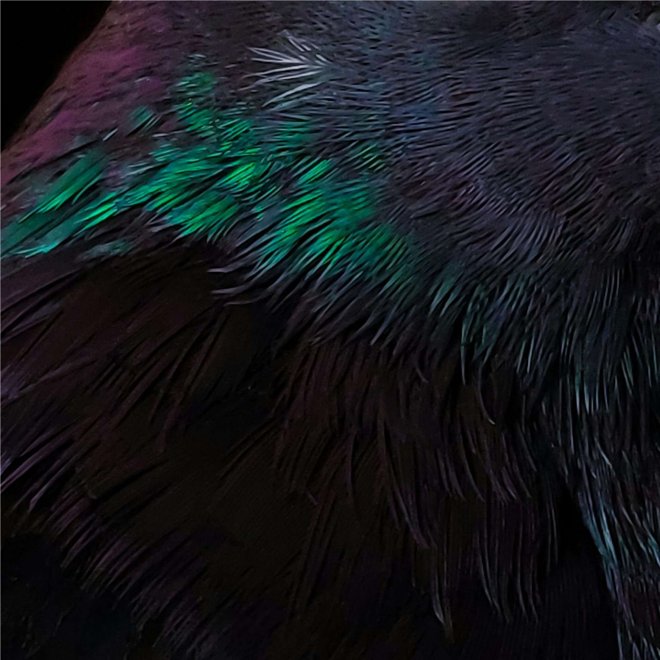 AW 26-27 Color Range Preview: Darks