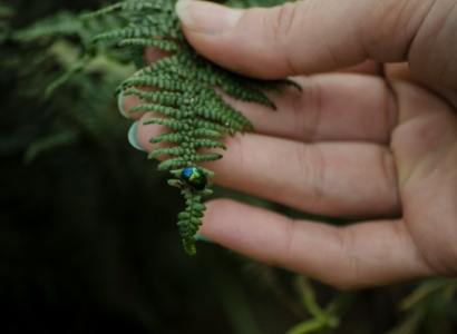 Beyond greenwashing: Is regeneration the real deal?
