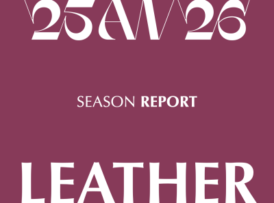 AW 25-26 Decodings: Leather