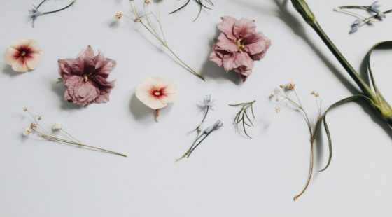 Native colors, augmented naturals, energy savings: everything you need to know about alternative colors