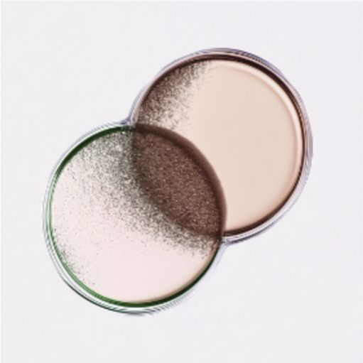 Color, the Essential Link Between Fashion and Beauty