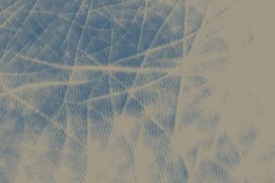 Harmony Focus AW 25-26 : Visible Pasts