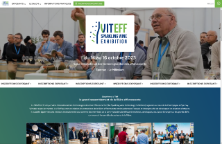  VITeff