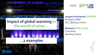 [SWF23] Impact of climate change on tartaric and colloidal stability of white wines