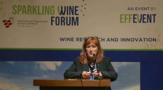 [SWF24] Accelerating the formation and concentration of age-related aromas in sparkling wines : Focus on English sparkling wines