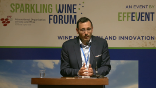 [SWF24] Use of stoneware containers in maintaining the varietal profile in the basic production of Franciacorta sparkling wine