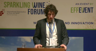[SWF24] No/low alcohol for sparkling wines: limits and strategies for sensory optimization