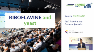 [SWF25] Riboflavin: results of the latest characterization work on yeast strains to limit riboflavin levels