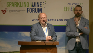 [SWF24] Causes, prevention and treatment of reduction in sparkling wines