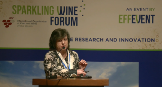 [SWF24] Innovation in sparkling wine production: focus on sensory aspects and the consumer's point of view consumer