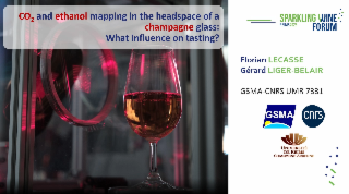 [SWF25] Mapping CO2 and ethanol in the headspace of a glass of champagne : what influence does this have on tasting?