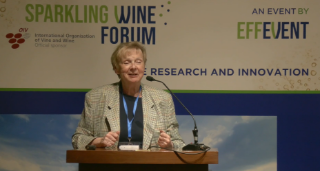 [SWF24] Estaan, a new oenological tannin to reduce SO2