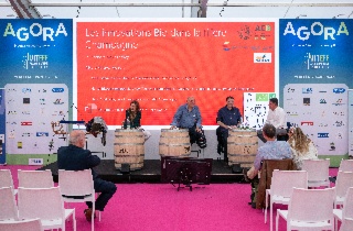 [VITEFF25] Organic Innovations in the Champagne Sector