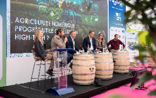 [VITEFF25] The Contribution of Digital Technology to Precision Viticulture