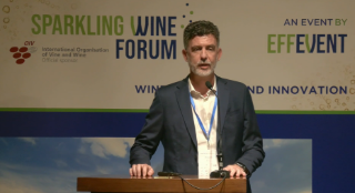 [SWF24] Exploring the impact of grape pressing on must and wine composition