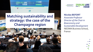 [SWF23] Adapting sustainability and strategy: The case of Champagne