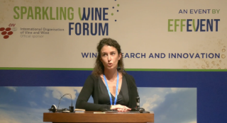 [SWF24] Biodiversity and ecosystem services in viticulture: the contribution of remote sensing and artificial intelligence in Franciacorta