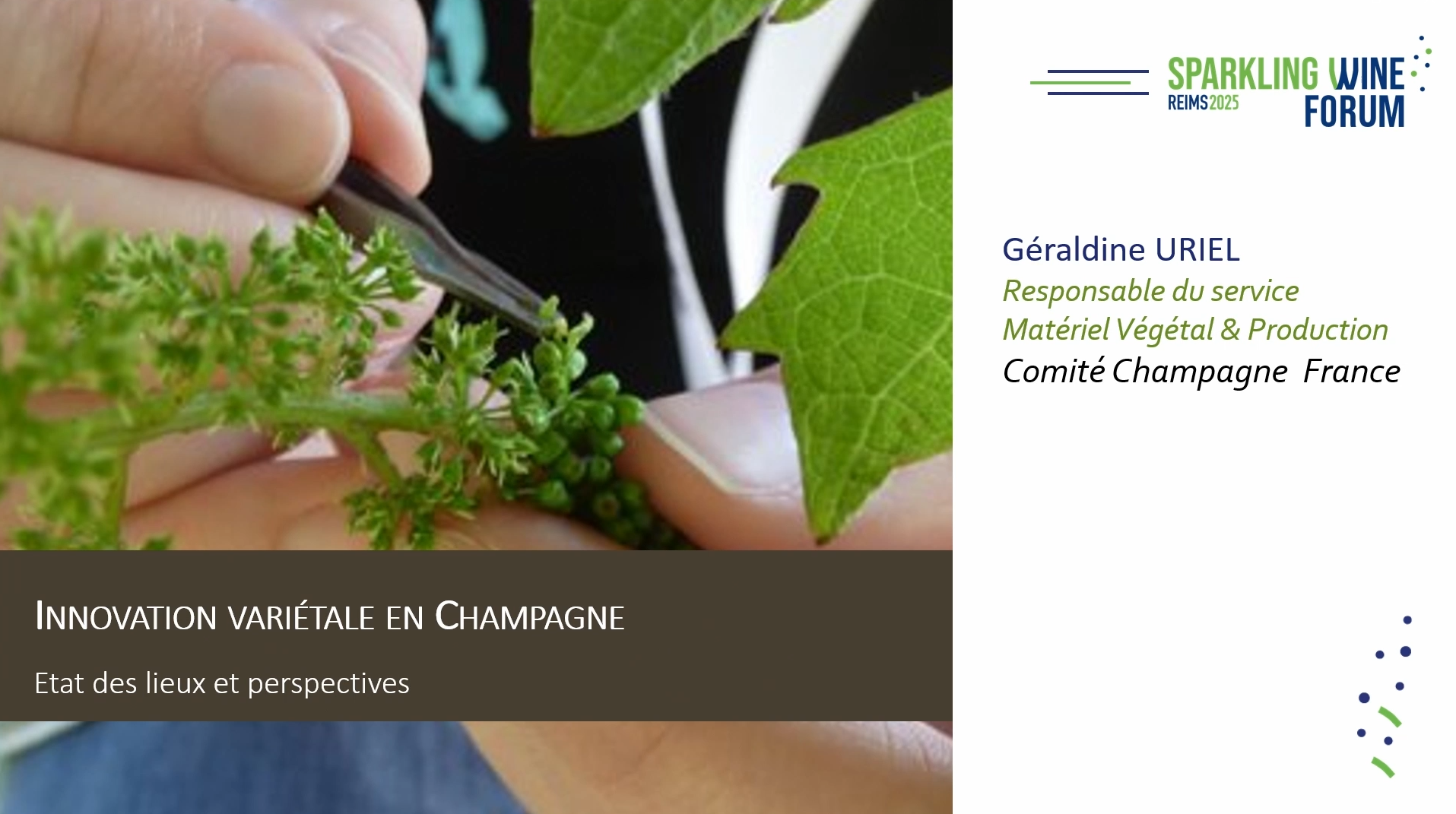 [SWF25] Varietal innovation in Champagne