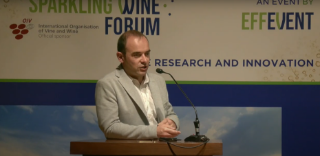 [SWF24] The aromatic effect of using different types of sugars and of sugars and MCR in sparkling wines