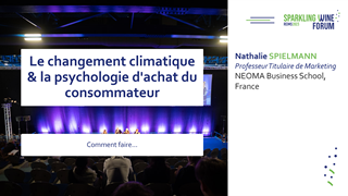 [SWF23] The value proposition in climate change—better understanding consumer purchasing psychology