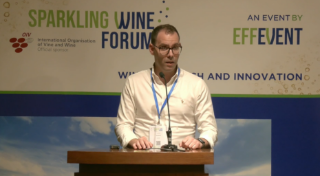 [SWF24] Sparkling wines and effervescence: impact of different molecules on foam quality