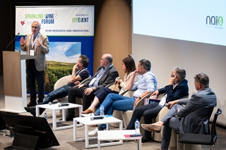 [SWF23] Drought tolerance of Chardonnay grafted on different rootstocks: a case study in Franciacorta