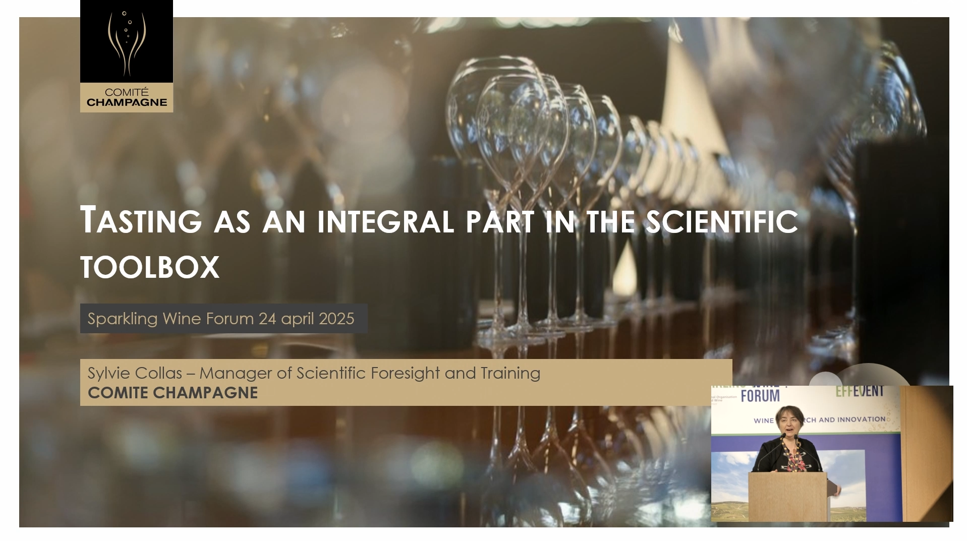 [SWF25] Tasting, a technical tool in its own right: application to wine faults