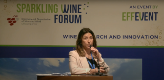 [SWF24] An innovative approach to yeast organic nutrition and aromatic metabolism: application to sparkling wines