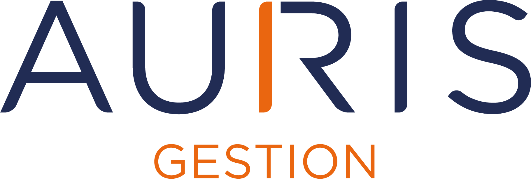 Auris Gestion