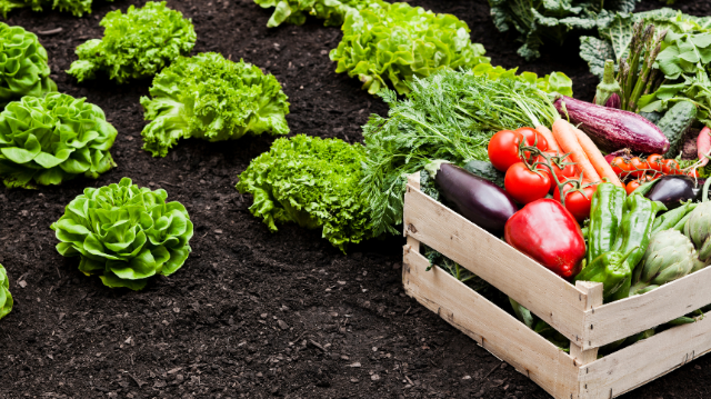Pour une agriculture durable en Grand Est : reconnecter producteurs et consommateurs