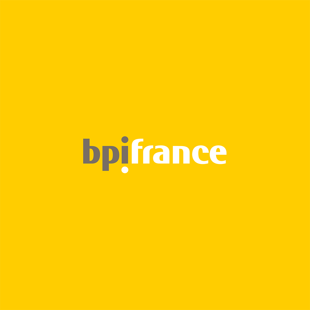 WEBINAR BPI : Les nouvelles mesures d'incitation fiscale en faveur du développement d'activités économiques dans les QPV