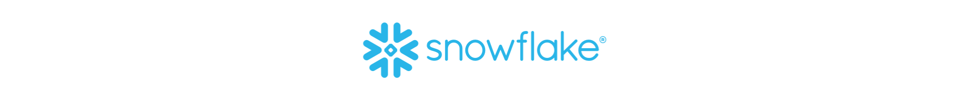 <a href="https://www.snowflake.com/fr/" target="_blank"></a>