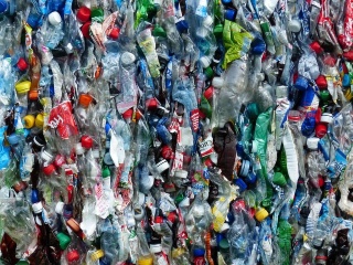 Cafés Poubelles